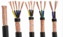 کابل کنترل افشان NYSLYCY