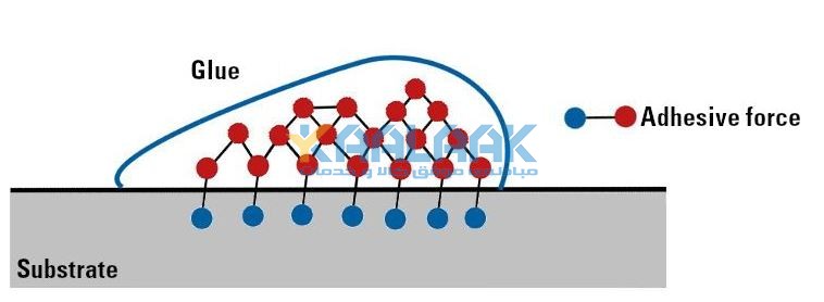 قدرت چسبندگی به چه عواملی بستگی دارد؟