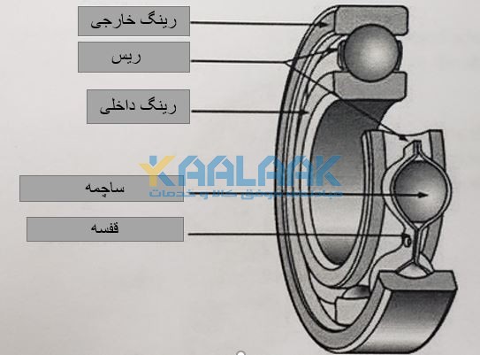 اجزای بیرینگ-ریس